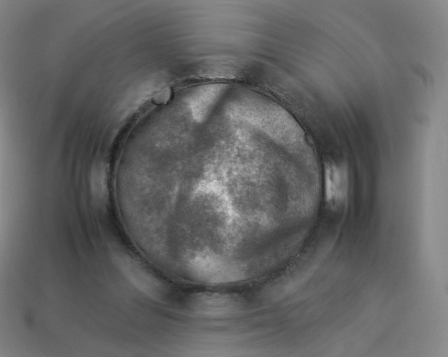 X0000113310300200910131113