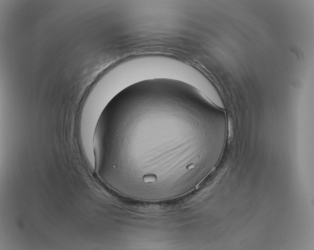X0000113310301200910131113