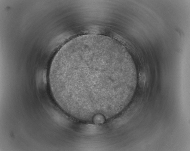 X0000113310302200910131113