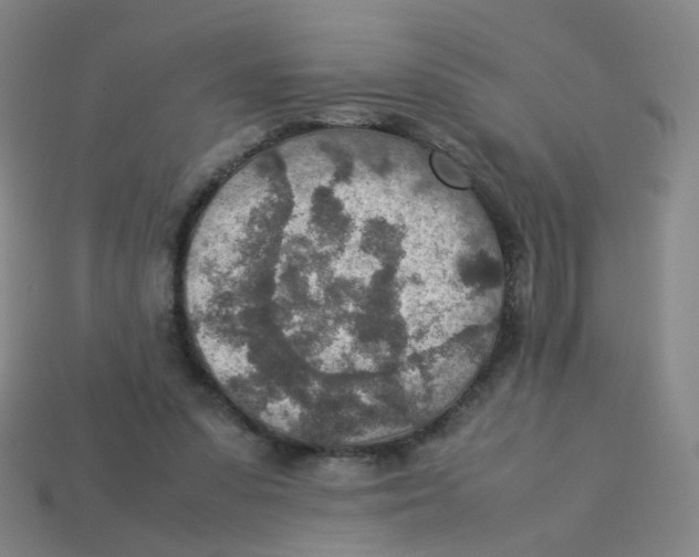 X0000113310303200910131113