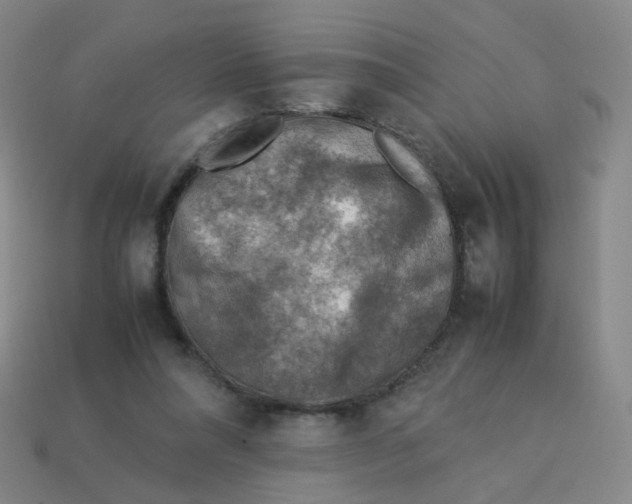 X0000113310304200910131113