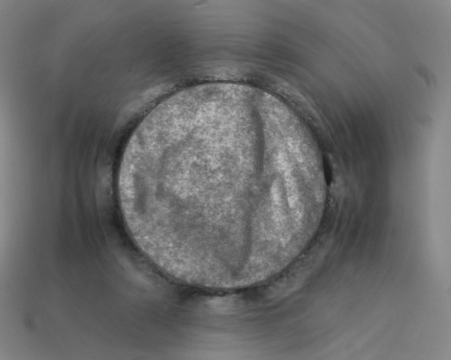 X0000113310306200910131113