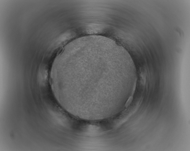 X0000113310308200910131113
