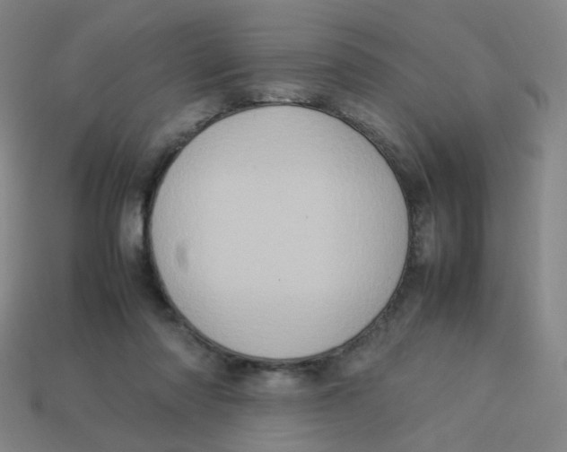 X0000113310310200910131113