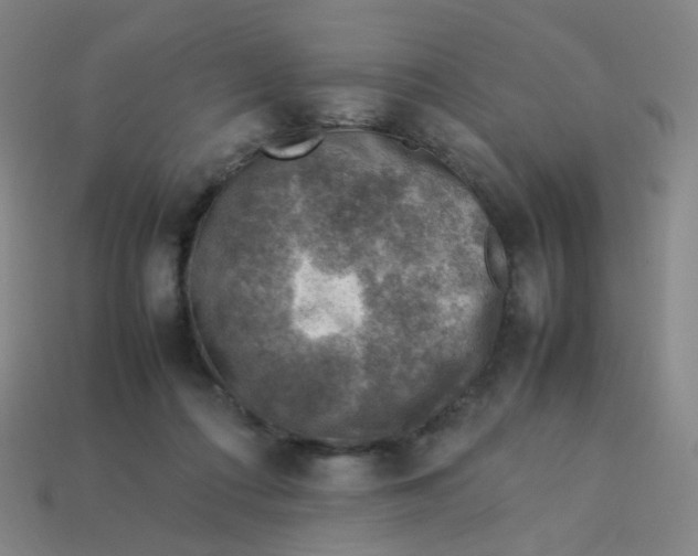 X0000113310312200910131113