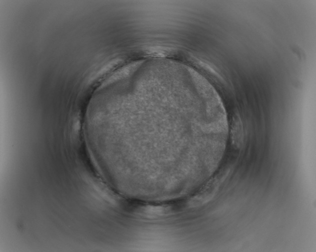 X0000113310314200910131113