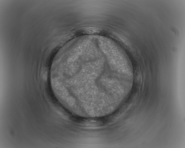 X0000113310315200910131113