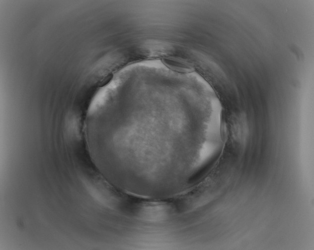 X0000113310316200910131113