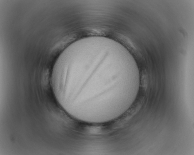 X0000113310318200910131113
