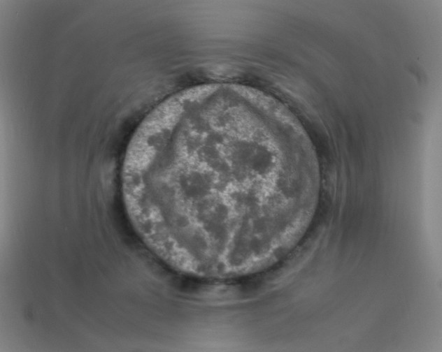 X0000113310319200910131113