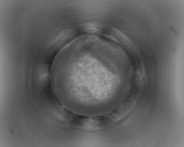 X0000113310320200910131113