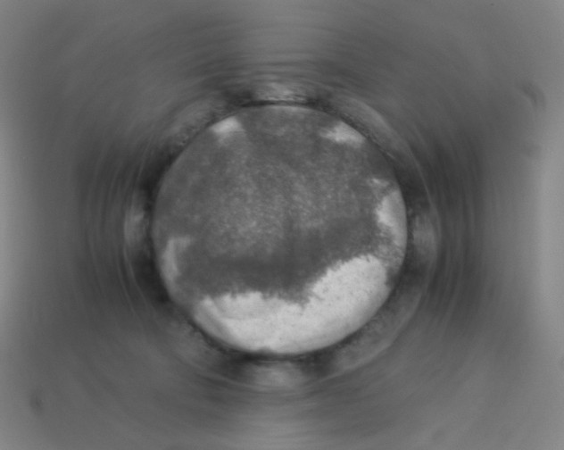 X0000113310322200910131113