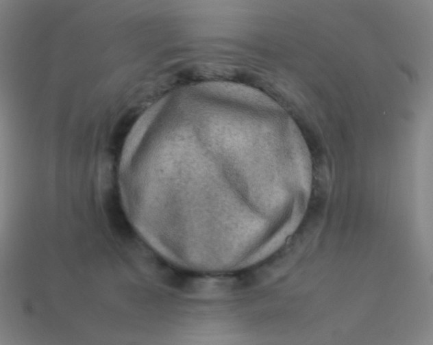 X0000113310323200910131113
