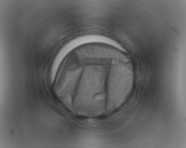 X0000113310324200910131113