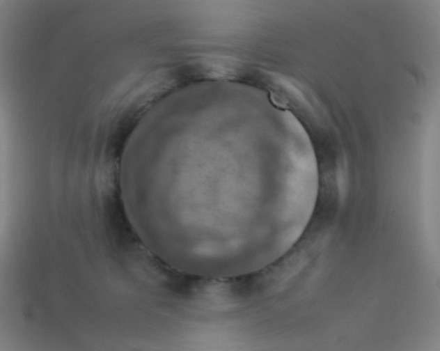 X0000113310325200910131113