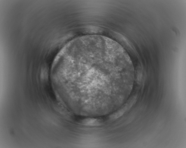X0000113310326200910131113