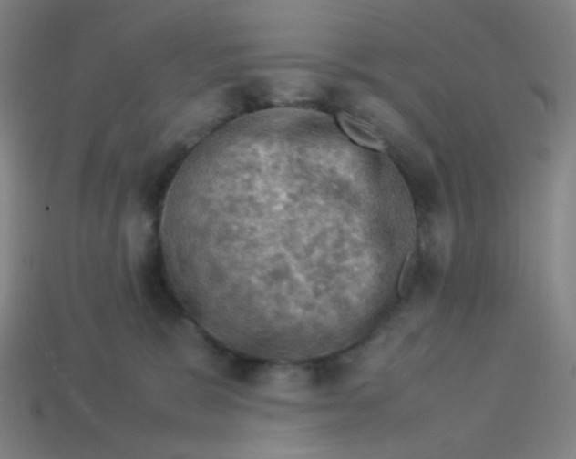 X0000113310327200910131113
