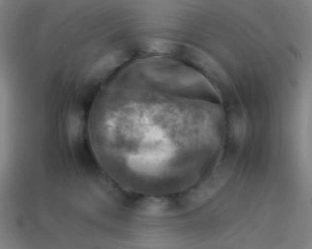 X0000113310328200910131113