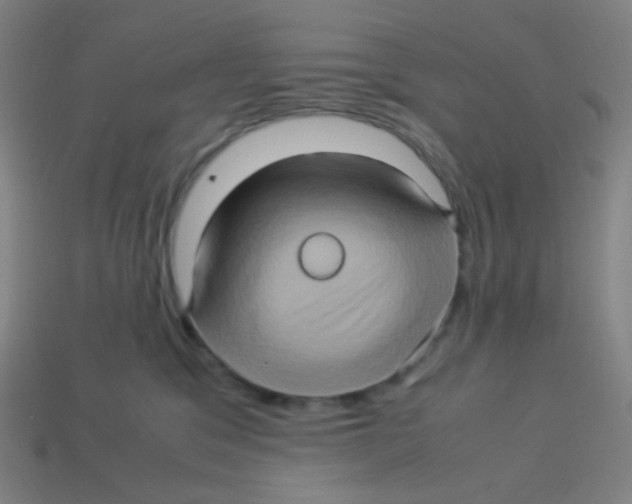X0000113310329200910131113
