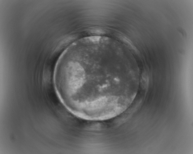 X0000113310330200910131113