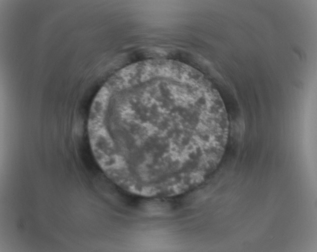 X0000113310331200910131113