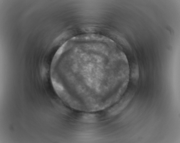 X0000113310332200910131113