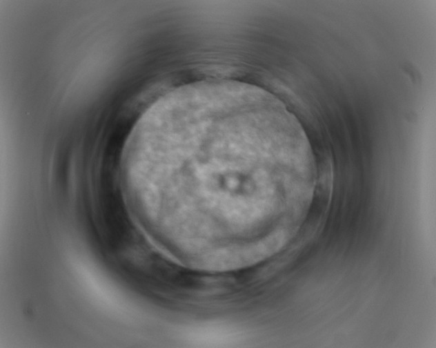 X0000113310334200910131113