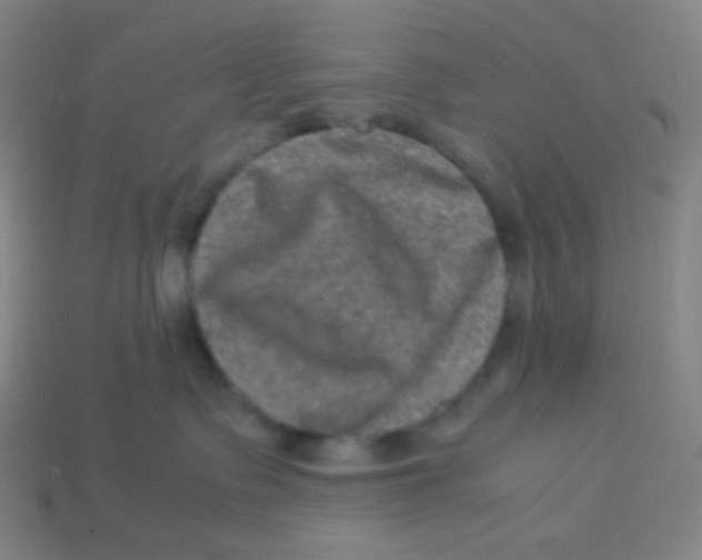 X0000113310335200910131113