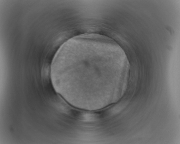 X0000113310336200910131113