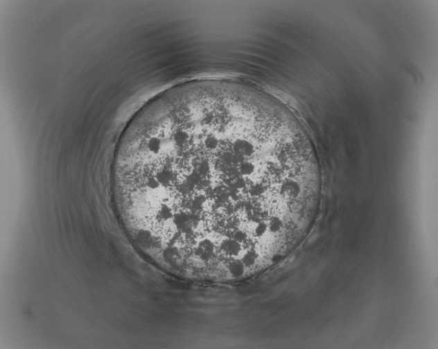 X0000113310337200910131112