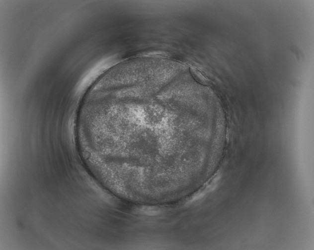 X0000113310341200910131112