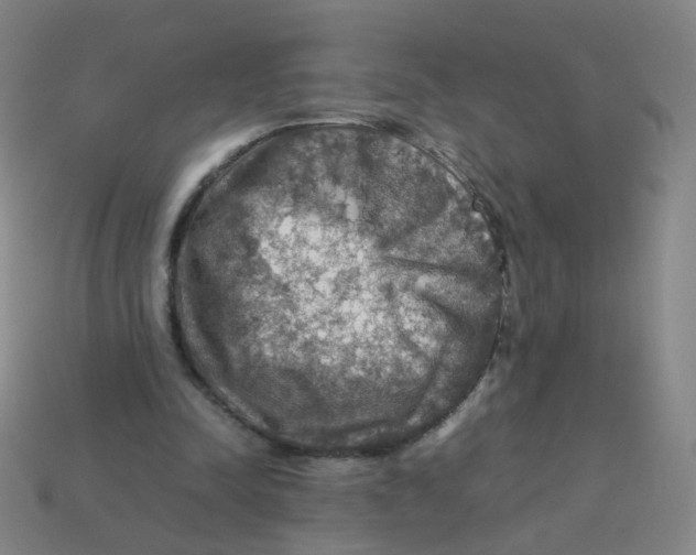 X0000113310342200910131112