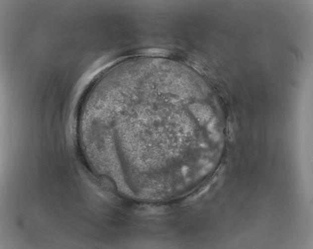 X0000113310343200910131112