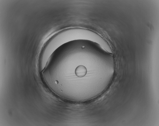 X0000113310344200910131112