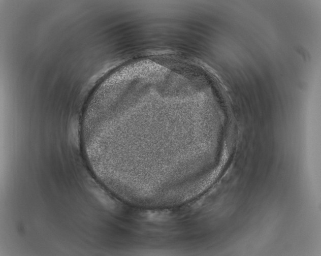 X0000113310345200910131112