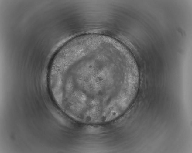 X0000113310346200910131112