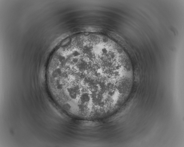 X0000113310347200910131112