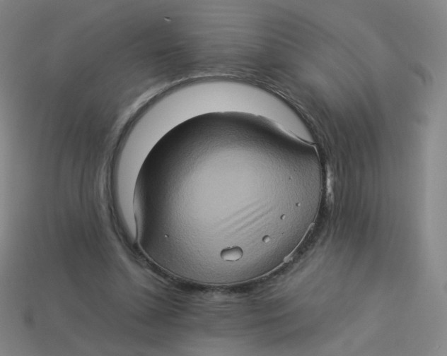 X0000113310348200910131112
