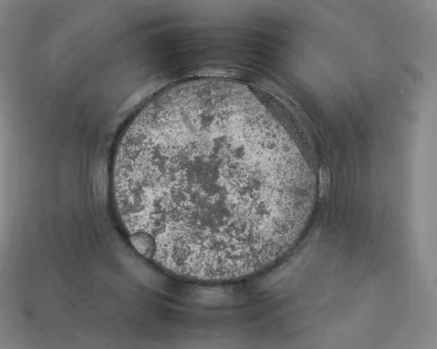 X0000113310349200910131112