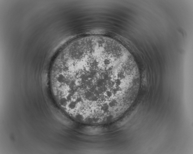 X0000113310351200910131112