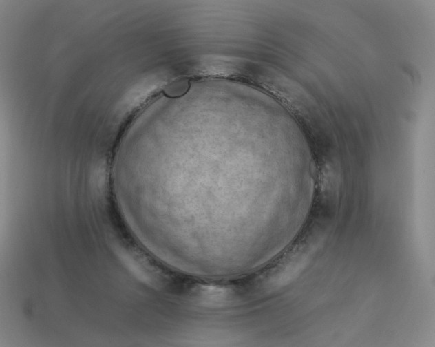 X0000113310352200910131112