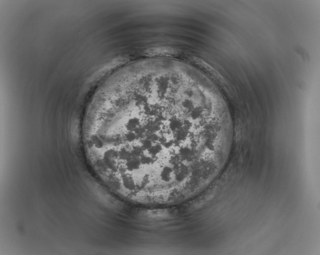 X0000113310353200910131112