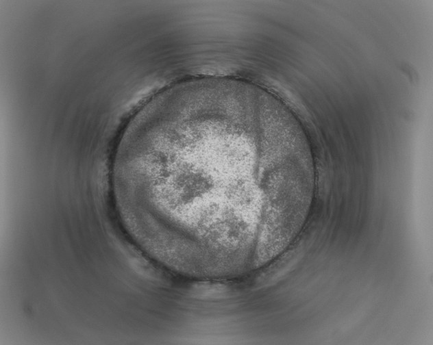 X0000113310354200910131112