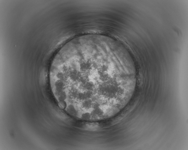 X0000113310355200910131112