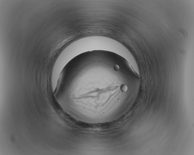 X0000113310356200910131112