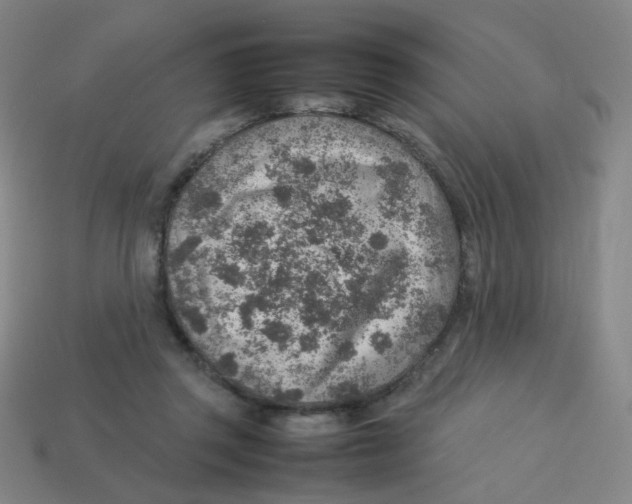 X0000113310357200910131112