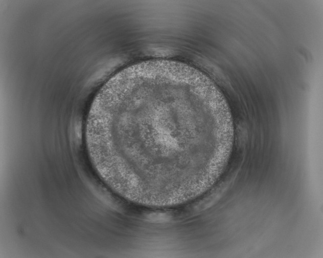 X0000113310358200910131112