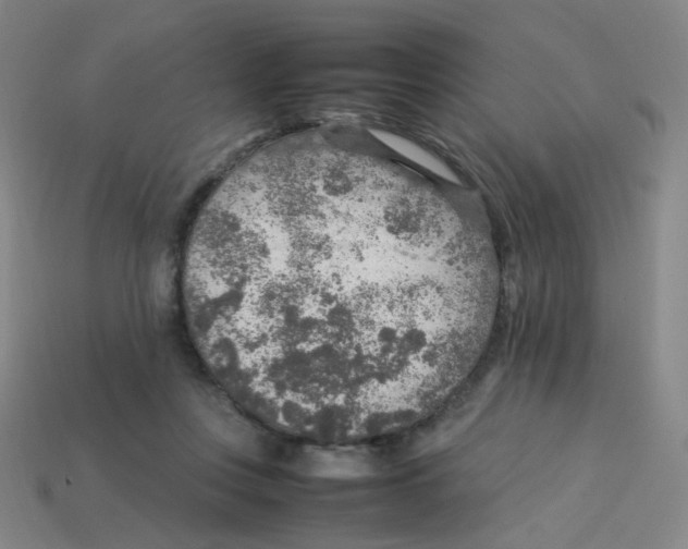 X0000113310359200910131112