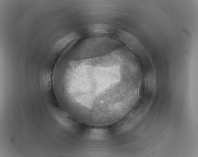 X0000113310360200910131112