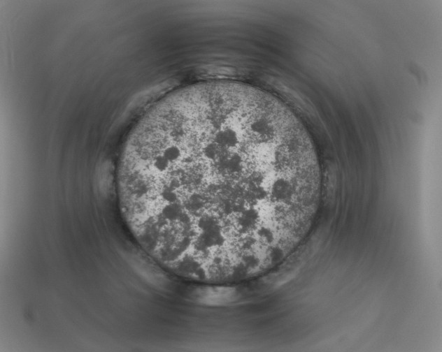 X0000113310361200910131112